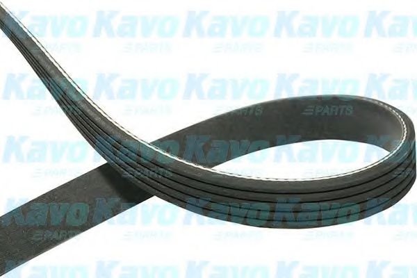 KAVO PARTS - DMV-1009 - Поликлиновой ремень (Ременный привод)