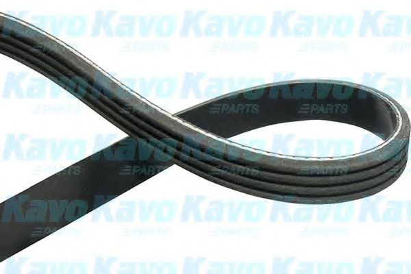 KAVO PARTS - DMV-4531 - Поликлиновой ремень (Ременный привод)