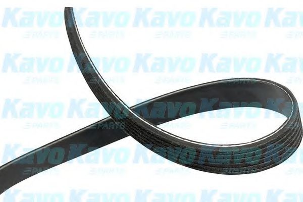 KAVO PARTS - DMV-1524 - Поликлиновой ремень (Ременный привод)