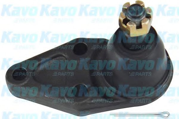 KAVO PARTS - SBJ-5519 - Несущий / направляющий шарнир (Подвеска колеса)