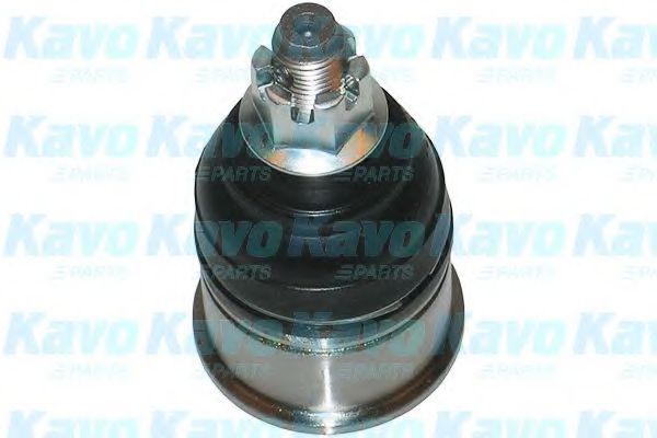 KAVO PARTS - SBJ-2009 - Несущий / направляющий шарнир (Подвеска колеса)