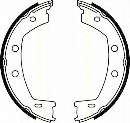 TRISCAN - 8100 17013 - Комплект тормозных колодок, стояночная тормозная система (Тормозная система)