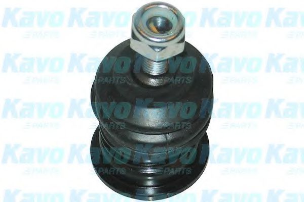 KAVO PARTS - SBJ-3016 - Несущий / направляющий шарнир (Подвеска колеса)