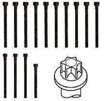 GOETZE - 22-11041B - Комплект болтов головки цилидра (Головка цилиндра)