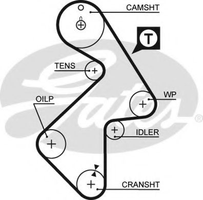GATES - 5202XS - Ремень ГРМ (Ременный привод)