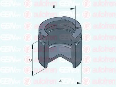 AUTOFREN SEINSA - D025311 - Поршень, корпус скобы тормоза (Тормозная система)