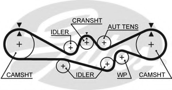 GATES - 5537XS - Ремень ГРМ (Ременный привод)
