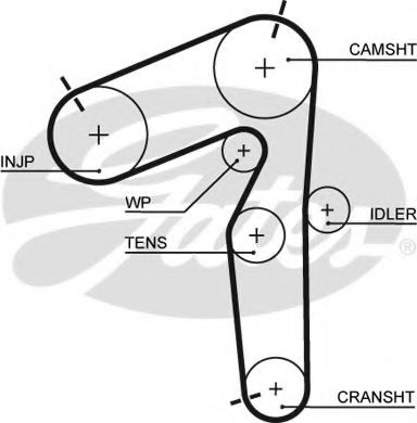 GATES - 5462XS - Ремень ГРМ (Ременный привод)