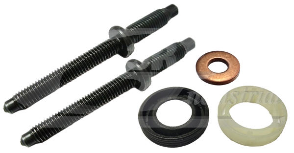 3RG - 81293 - К-кт шайба + сальник (2шт) + шпилька (2шт) кріплення  форсунки Citroen Berlingo 1.6HDI