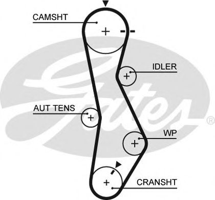 GATES - 5579XS - Ремень ГРМ (Ременный привод)