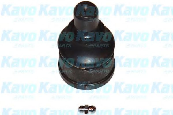 KAVO PARTS - SBJ-4505 - Несущий / направляющий шарнир (Подвеска колеса)