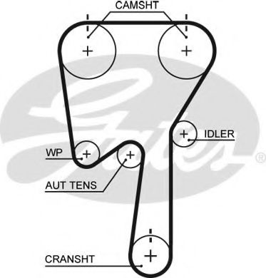 GATES - 5509XS - Ремень ГРМ (Ременный привод)