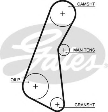 GATES - 5121 - Ремень ГРМ (Ременный привод)