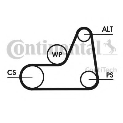 CONTITECH - 6PK1042 ELAST - Поликлиновой ремень (Ременный привод)