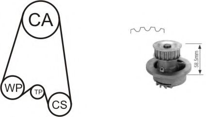 AIRTEX - WPK-116401 - Водяной насос + комплект зубчатого ремня (Охлаждение)
