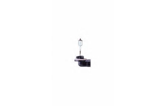 NARVA - 48042 - Лампа накаливания, противотуманная фара (Освещение)