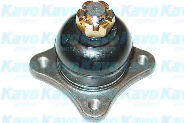 KAVO PARTS - SBJ-5516 - Несущий / направляющий шарнир (Подвеска колеса)