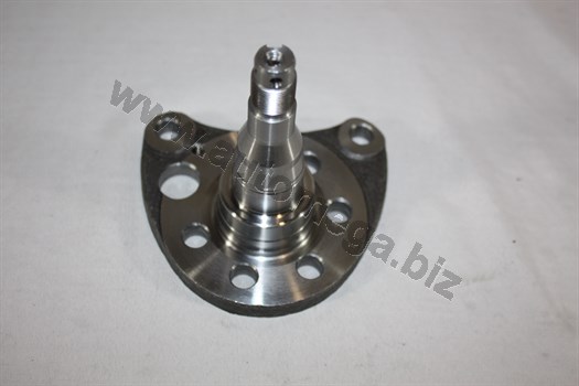 AUTOMEGA - 110035810 - Ступица колеса (Подвеска колеса)