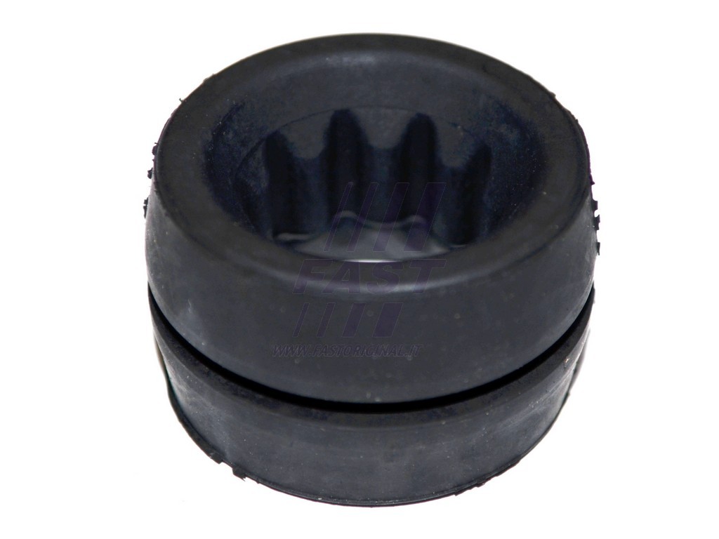 FAST - FT13053 - Кронштейн, корпус воздушного фильтра (Система подачи воздуха)