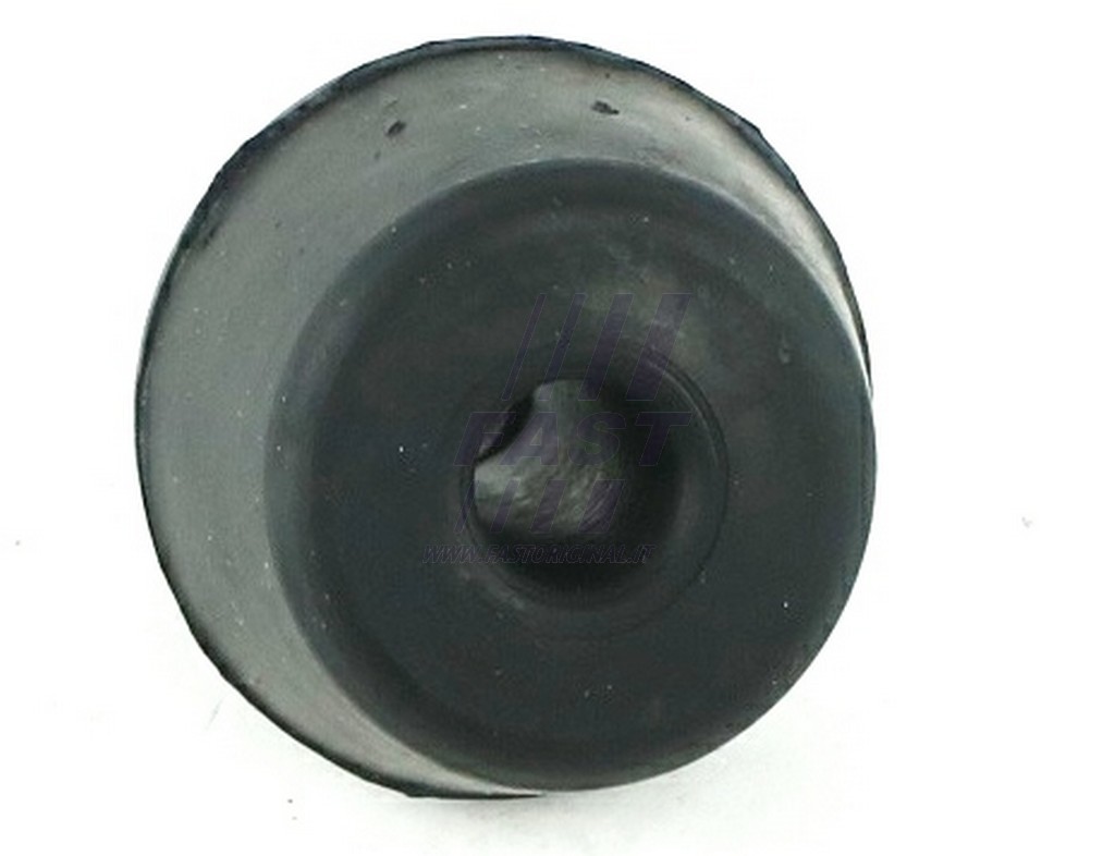 FAST - FT13063 - Опора радіатора Renault Clio Kangoo, 1,2-1,9, 98-