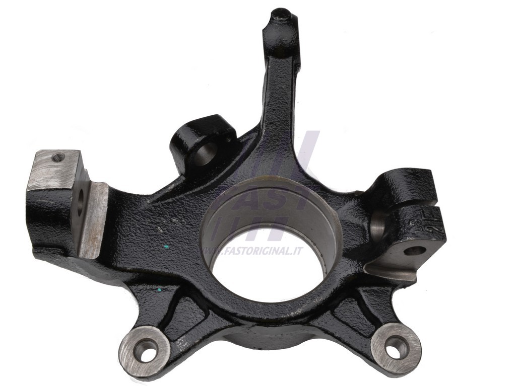 FAST - FT13520 - Поворотный кулак, подвеска колеса (Подвеска колеса)