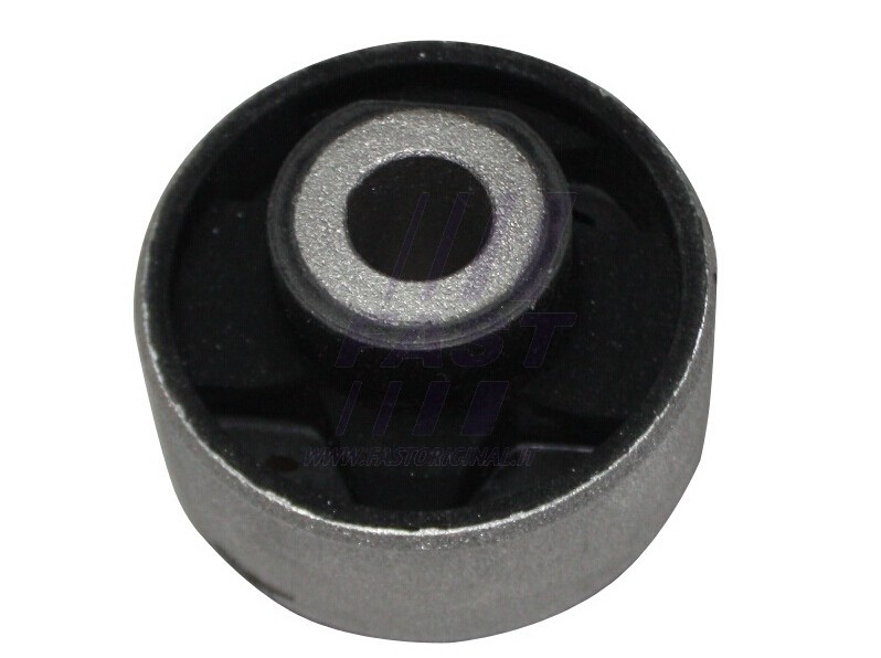 FAST - FT18309 - Подвеска, рычаг независимой подвески колеса (Подвеска колеса)