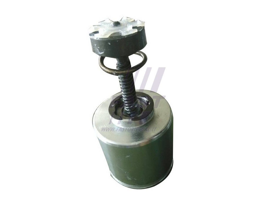 FAST - FT32289 - Поршень, корпус скобы тормоза (Тормозная система)