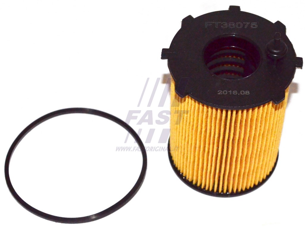 FAST - FT38075 - Масляный фильтр (Смазывание)