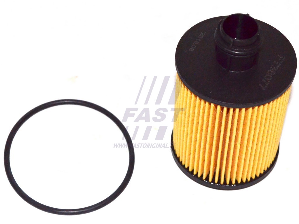 FAST - FT38077 - Масляный фильтр (Смазывание)