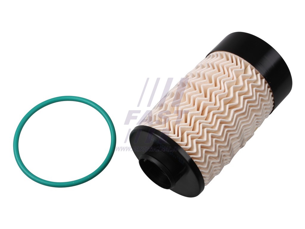 FAST - FT39064 - Топливный фильтр (Система подачи топлива)