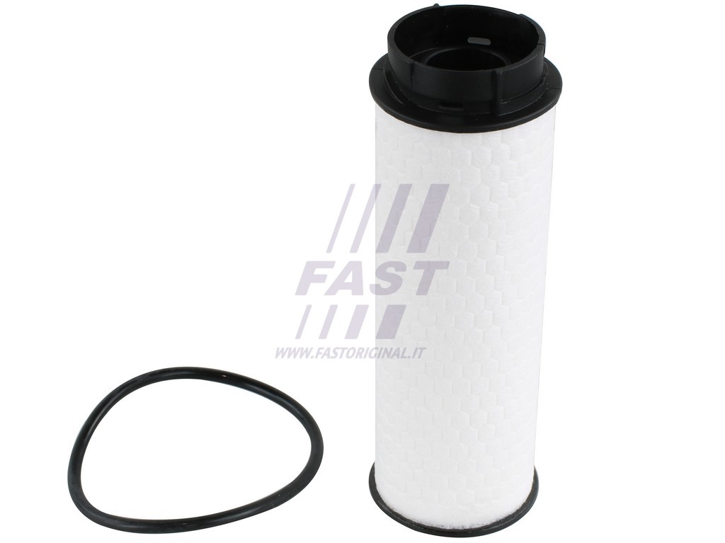 FAST - FT39304 - Фільтр паливний (вставка) Iveco Daily 04.2016-