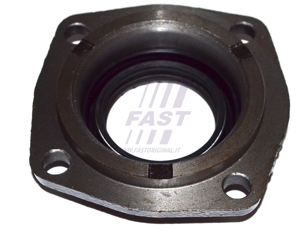 FAST - FT49838 - Уплотняющее кольцо, дифференциал (Главная передача)