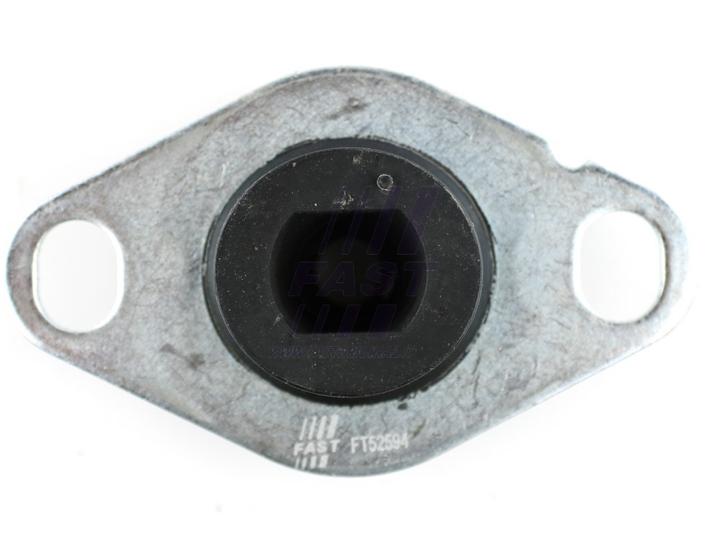 FAST - FT52594 - Опора КПП Renault Clio II, Kangoo, Megane, Scenic, Thalia, 19, 21 87-