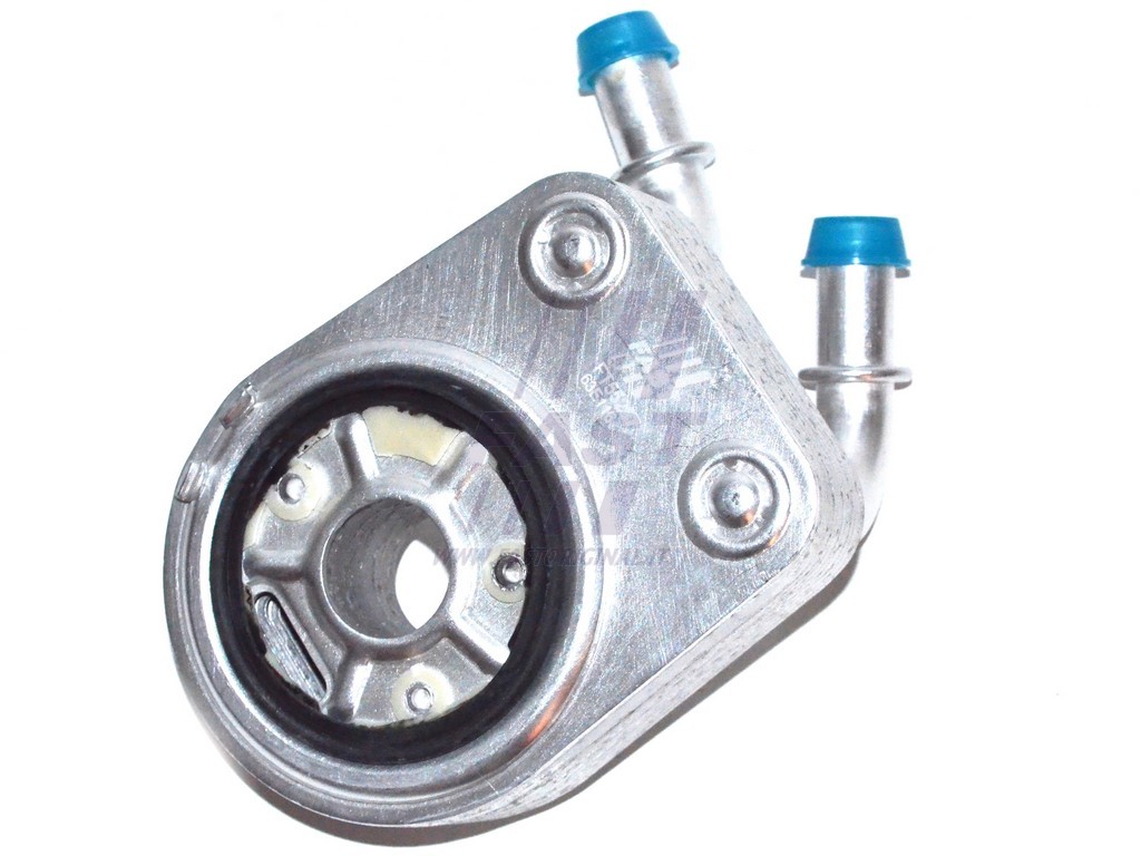 FAST - FT55287 - масляный радиатор, двигательное масло (Смазывание)