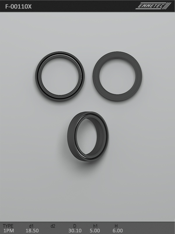 MSG - F-00110X - Сальник 18,50/30,10*5,00/6,00 тип 1PM