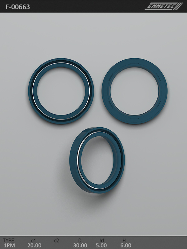 MSG - F 00663 - Сальник ГП 20,00/30,00*5,00/6,00 тип 1PM