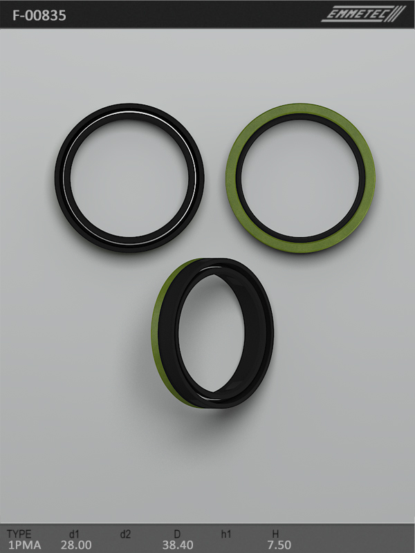 MSG - F-00835 - Сальник 28,00/38,40*7,50 тип 1PMA