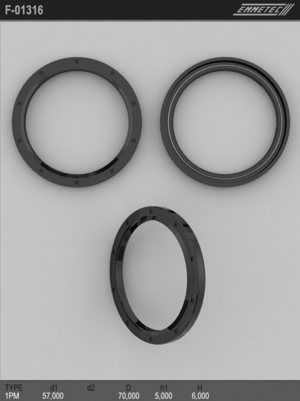 MSG - F-01316 - Сальник 57,00/70,00*5,00/6,00 тип 1PM