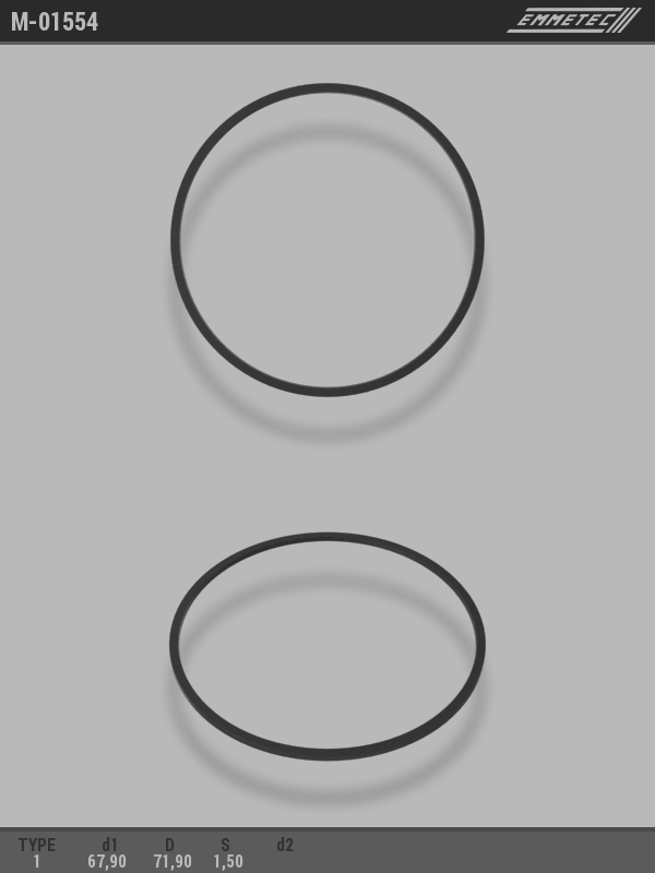MSG - M-01554 - Кольцо тефлоновое O67,9x71,9 S1,5 тип 1 MSG - M-01554 - Кольцо тефлоновое O67,9x71,9 S1,5 тип 1
