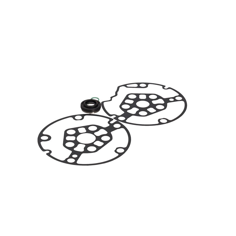 MSG - RK0040 - Ремкомплект компрессора ZEXEL DKS-17D NISSAN MURANO (Z50) 03-,MURANO (Z51) 08- MSG - RK0040 - Ремкомплект компрессора ZEXEL DKS-17D NISSAN MURANO (Z50) 03-,MURANO (Z51) 08-