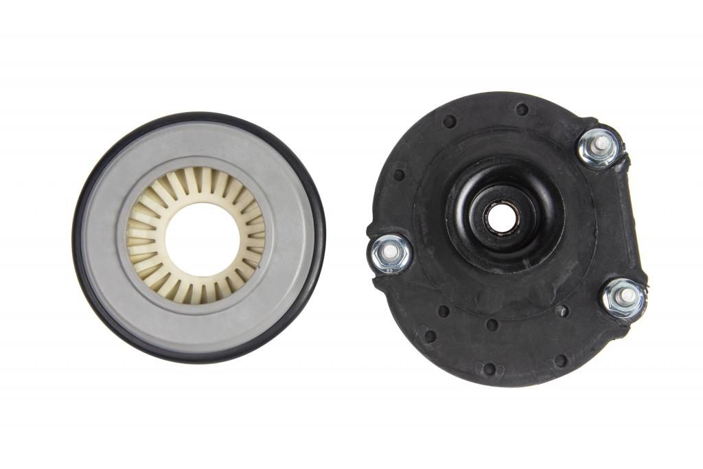 RAISO - RC02529 - Подушка опорна перед. ліва + підшипник Fiat Fiorino 1.4 08-, Linea - 1.4 07-, Qubo - 1.4 08-/Citroen Nemo 1.4HDi 08-