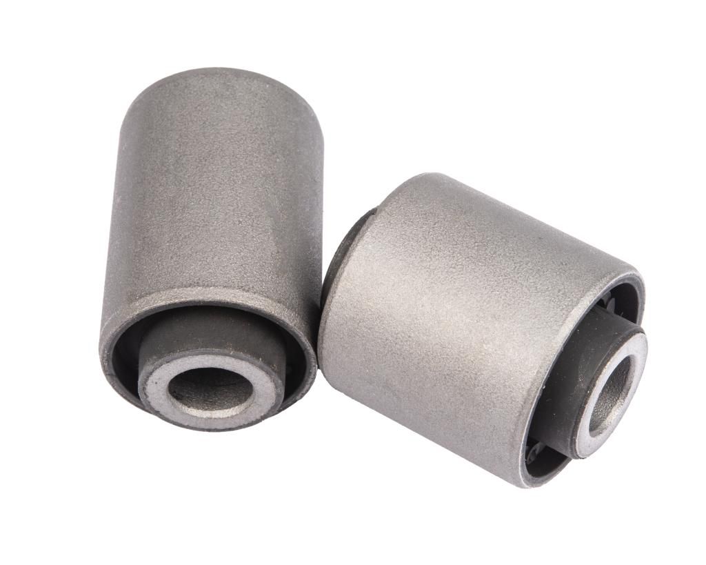 RAISO - RL-025003F - Комплект сайлентблоків(2 шт) заднього важеля (нижн.внутрішній і зовнішній) Mazda 3/Ford Focus/Volvo C30 98-