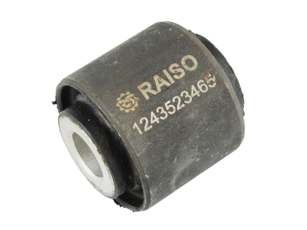 RAISO - RL-124465M - С/блок лів./прав. важеля зад. (без втулки) DB 124