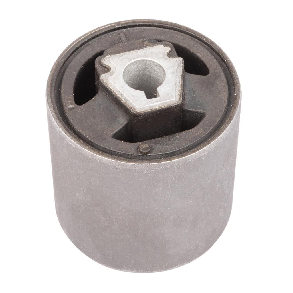 RAISO - RL-311715B - С/блок ниж. лів./прав. важеля перед. (гідроопора) BMW X5 I (E53)  00-, X3 2.0/3.0D 01.04-