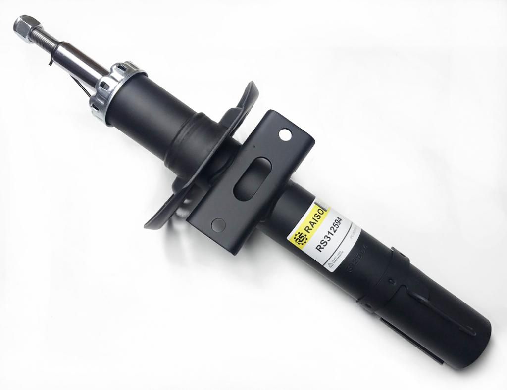 RAISO - RS312594 - Ам-тор перед. Skoda Fabia 99->