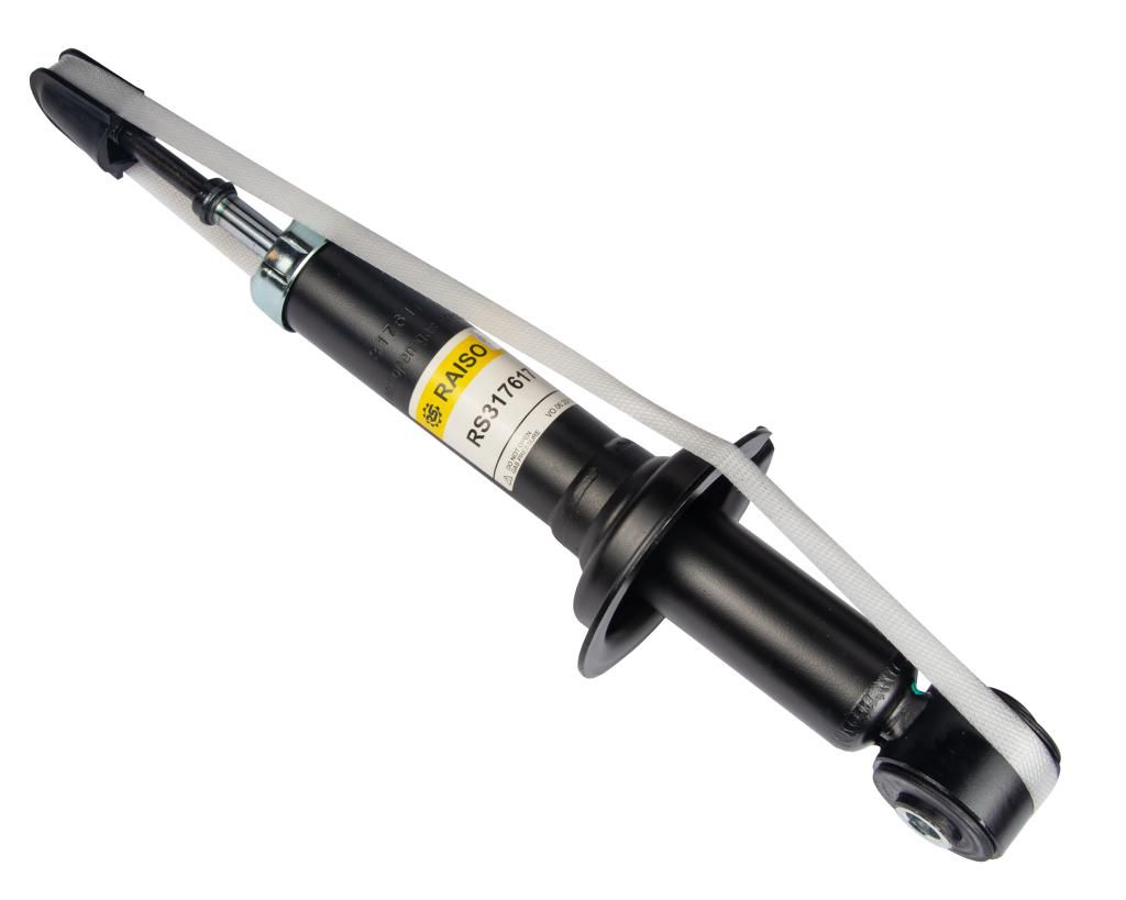 RAISO - RS317617 - Ам-тор зад. Mitsubishi Outlander 04- RAISO - RS317617 - Ам-тор зад. Mitsubishi Outlander 04-