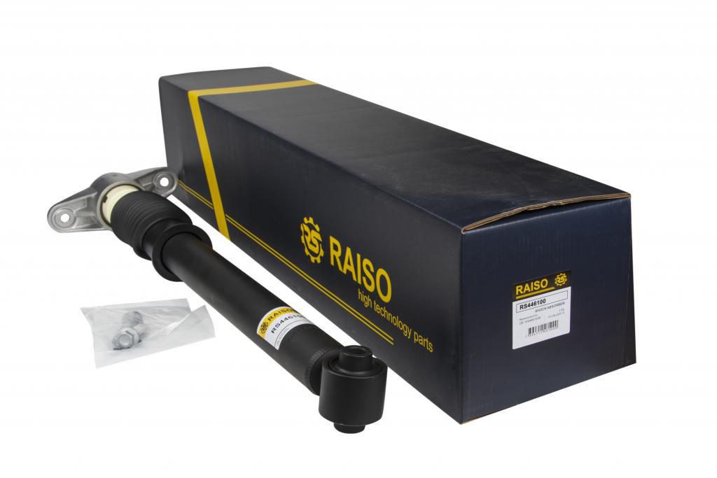 RAISO - RS446100 - Амортизатор задній Tesla Model 3 RWD (комплект з опорою+захисний к-т) (газ.)