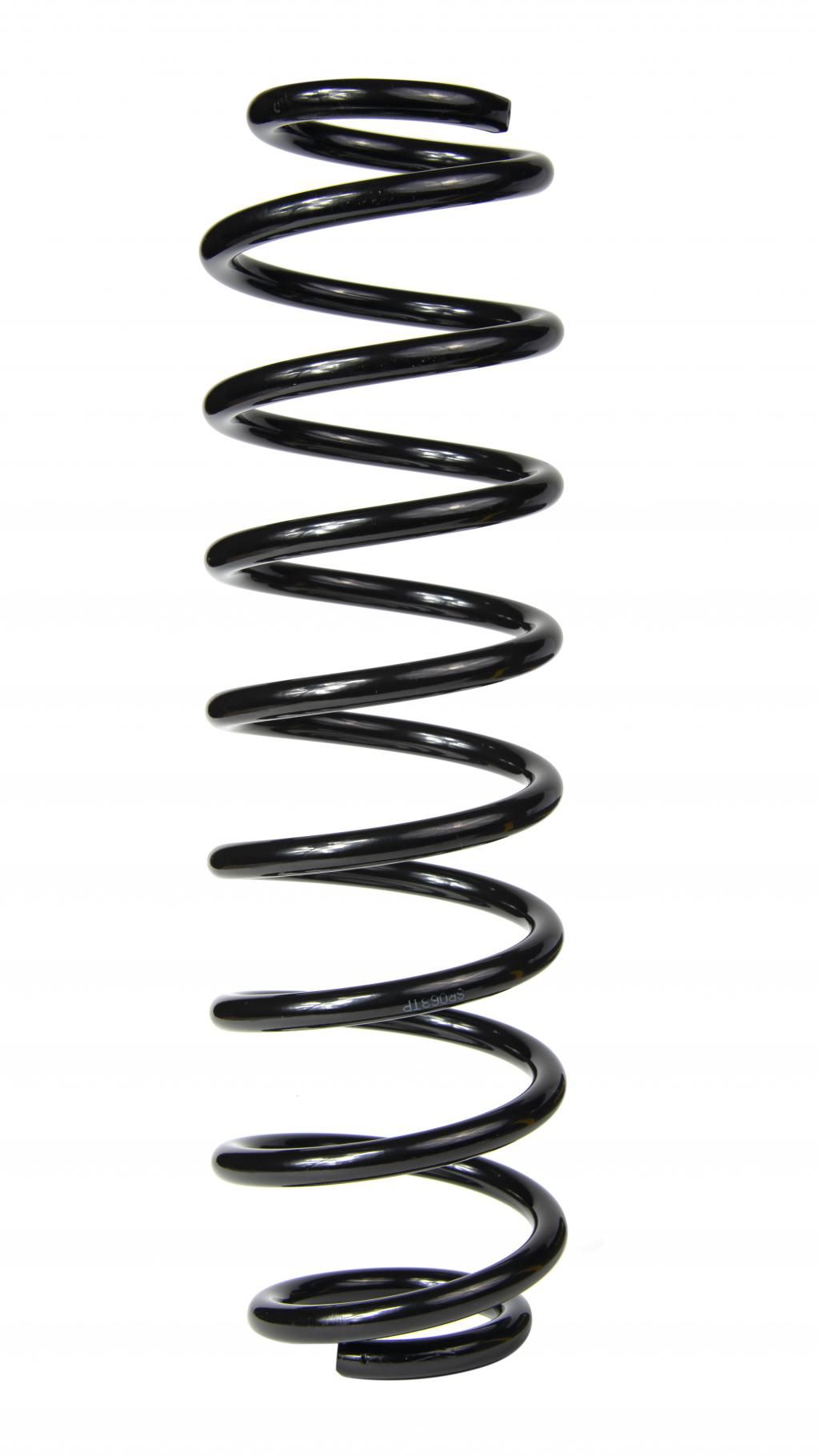 RAISO - SR063TP - Пружина задня Skoda Fabia 1.0-2.0 99-