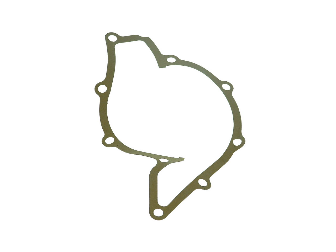 SALERI - PA1069 - Водяной насос