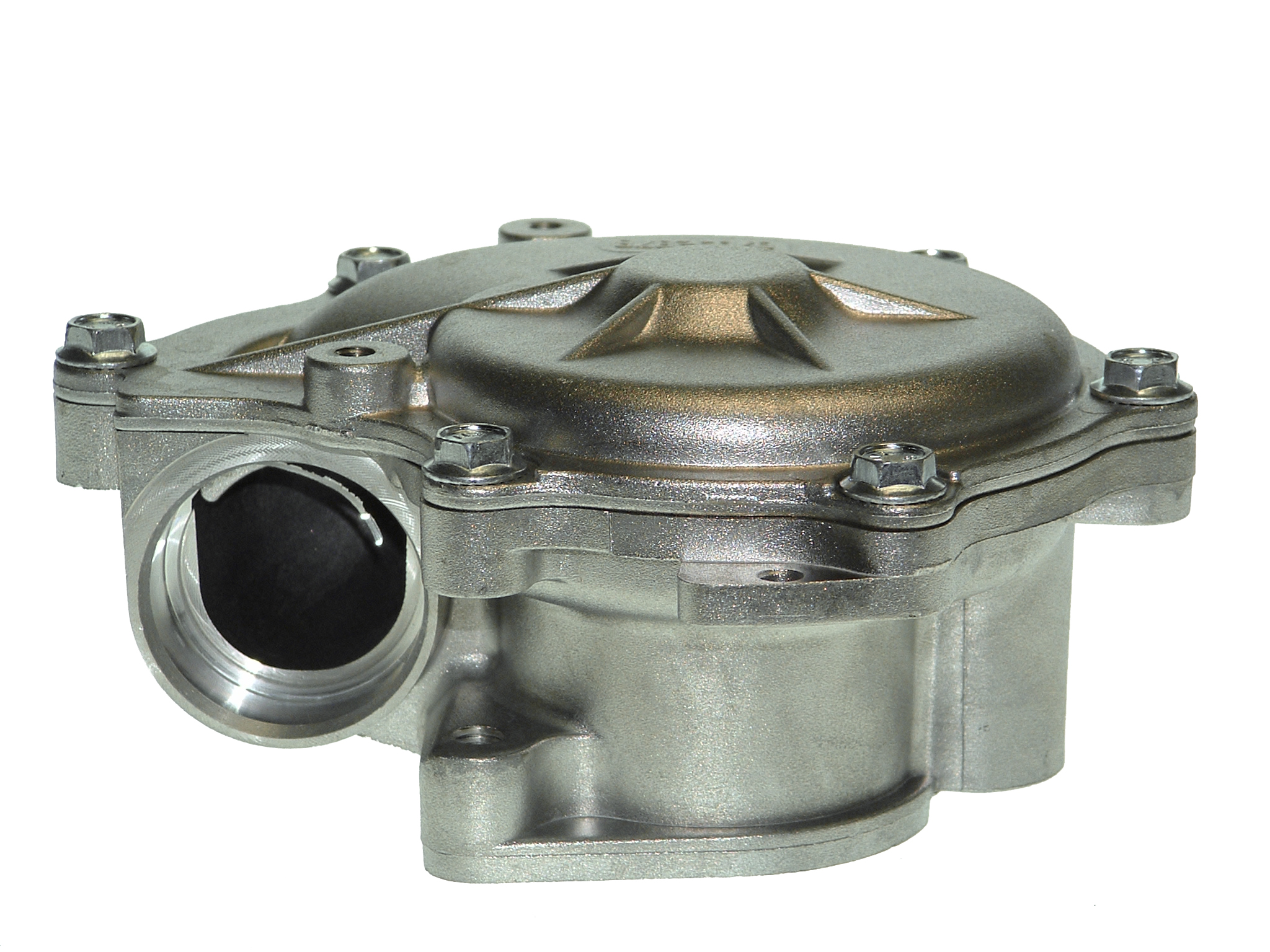 SALERI - PA1295 - Водяной насос